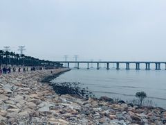 -宝安西湾红树林湿地公园