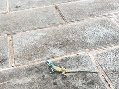 -耶稣圣心堂
