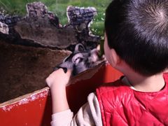 -正佳雨林生态植物园