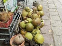 -东郊椰林