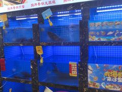 -鑫鸿达·海鲜闽菜热炒小馆(中山路店)