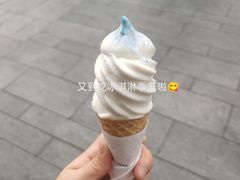 -溪边姑娘·拉丝酸奶水果捞(春熙路店)