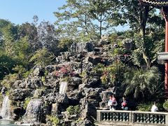 -顺峰山公园