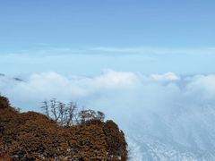 -梵净山旅游区