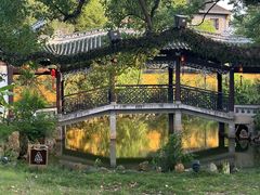 -江心屿景区
