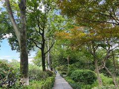 -西溪国家湿地公园