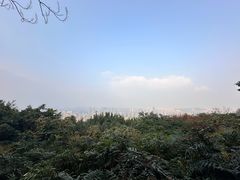 -重庆平顶山公园