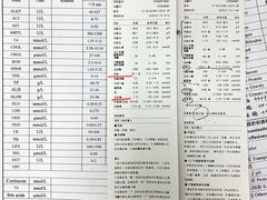 -莘程宠物医院(金山店)