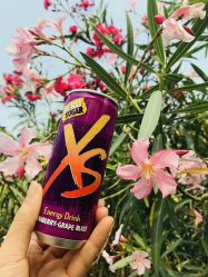 -安利上海体验馆