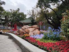 -荔湾湖公园