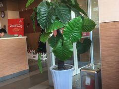 -李先生牛肉面大王(书院路店)
