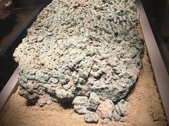 -徐州博物馆