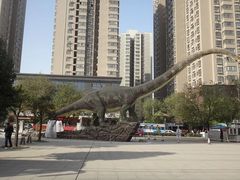 -陕西自然博物馆