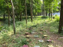 -南宁良凤江国家森林公园