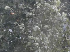 -门城湖公园