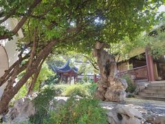 -苏州吴宫泛太平洋酒店