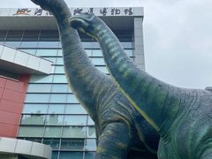 -河南自然博物馆