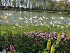 -上海鲜花港
