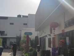 -217笋干馄饨