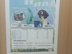 -米苏动物医院·犬猫专科·骨科外科内窥镜
