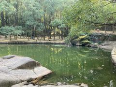 -白马涧龙池景区