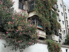 -三兄弟高炉烧饼