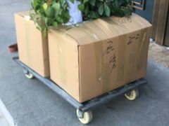 -北京利康运达搬家公司