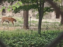 -秦皇岛野生动物园