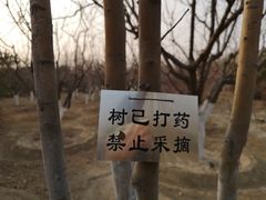 -永定河休闲森林公园