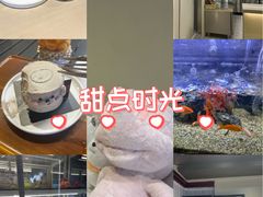 -MONANA蛋糕研究所