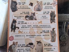 -小时光咖啡馆(北锣鼓巷店)
