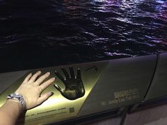 -星光大道