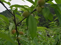 -会稽山峡洞漂流-上青古道