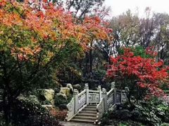 -南京东郊国宾馆