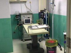 -中农大我爱我爱24h动物医院·中医针灸·猫专科·骨科医疗中心(双井店)