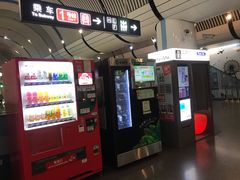 -大望路(地铁站)