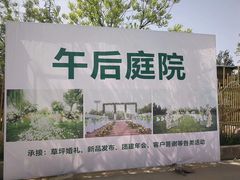 -午后庭院
