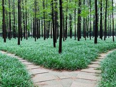 -河南省黄河迎宾馆