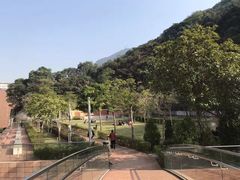 -香港大学