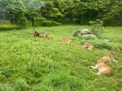 -西安秦岭野生动物园