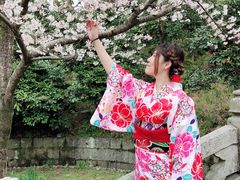 -有栖山 清光院 清水寺