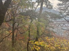 -少华山国家森林公园