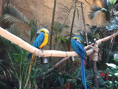 -杭州开元森泊度假乐园