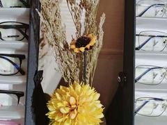 -杨兮眼视光工作室