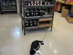 -二八鸥汀老鹅(金涛庄店)