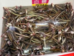 -华源餐厅·海鲜大排档(日月贝店)