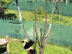 -沈阳森林动物园