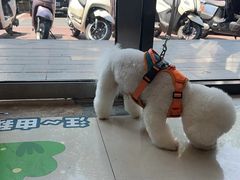 -艾贝尔宠物医院·24H转诊中心·肿瘤猫专科(江宁双龙店)