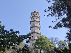 -江心屿景区