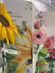 -JUVA欧华医美连锁